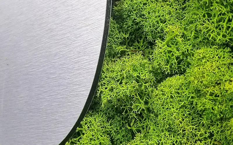 dibond platte silber gebuerstet moos plattendruck