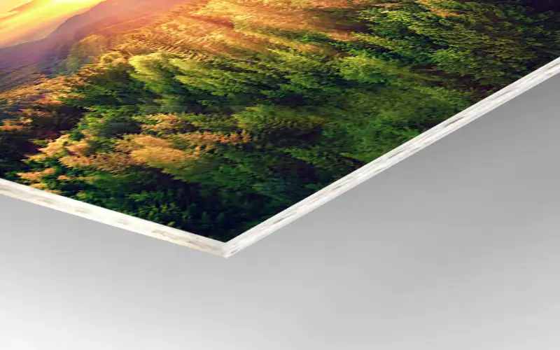 dispa outdoor bedruckt plattendruck