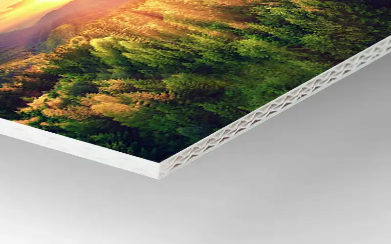 dispa papierplatte bedruckt plattendruck