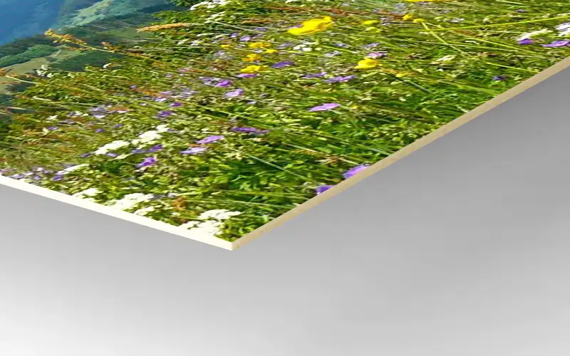 displaykarton 1 mm material plattendruck