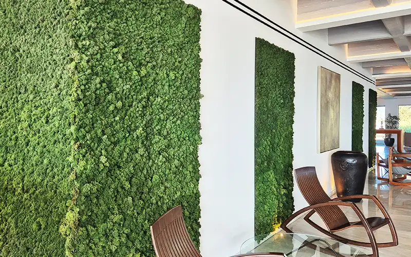 mooswand green interior produktion