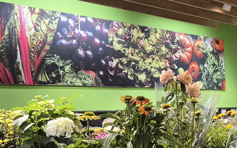 wand digitaldruck folierung foliendruck pvc frei green point of sale retail