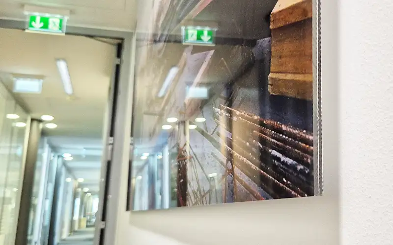 wandbild galerieprint acryl dibond plattendruck interior