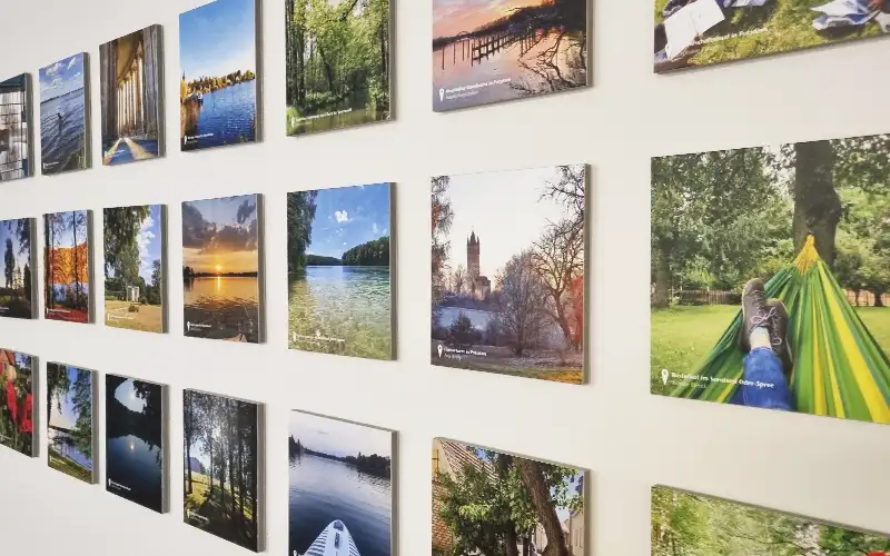 wandbilder leichtschaumplatten kapa plattendruck