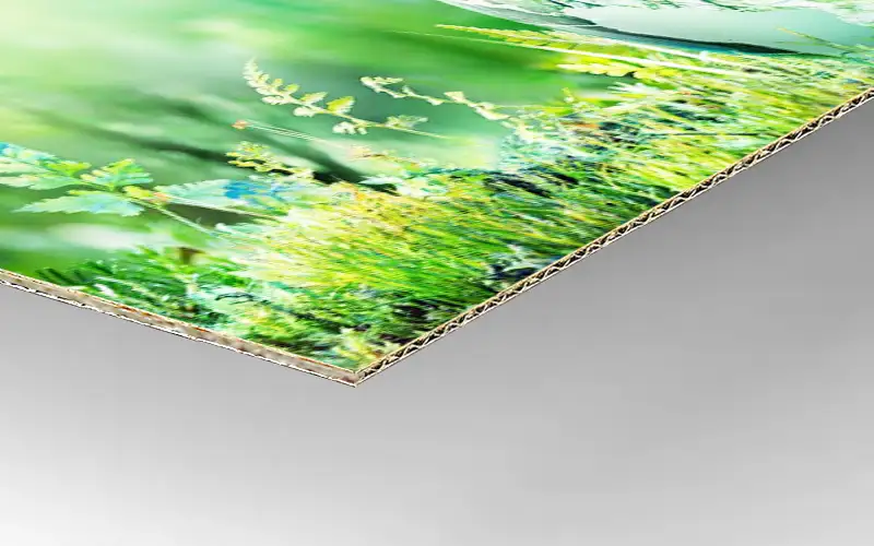 wellpappe E Welle feinwellpappe material plattendruck