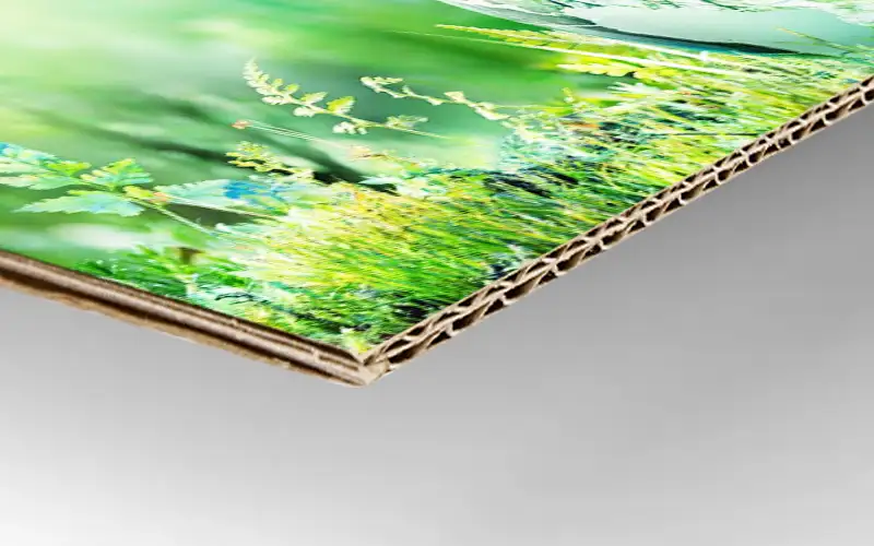 wellpappe EB Welle doppelwellpappe material plattendruck