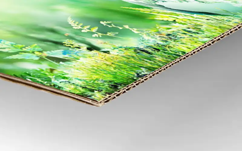 wellpappe FE Welle doppelwellpappe material plattendruck